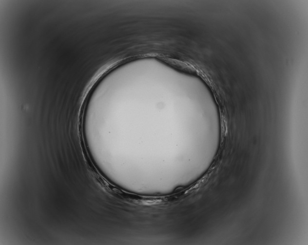 X0000083000147200703020911