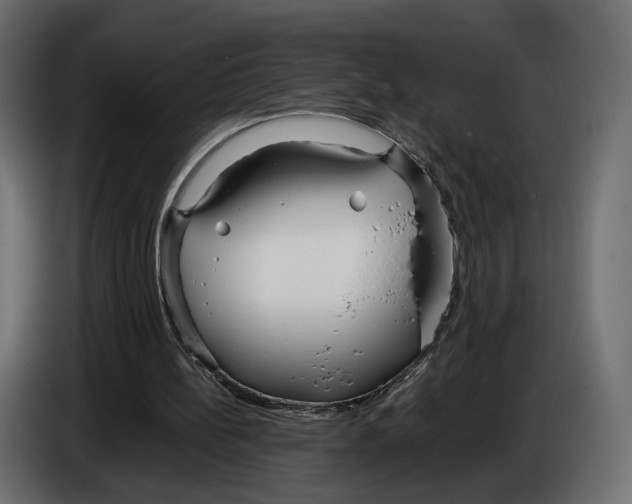 X0000083000148200703020911