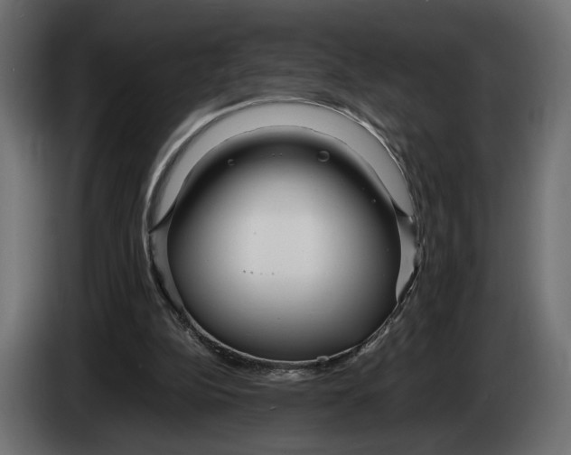 X0000083000152200703020911