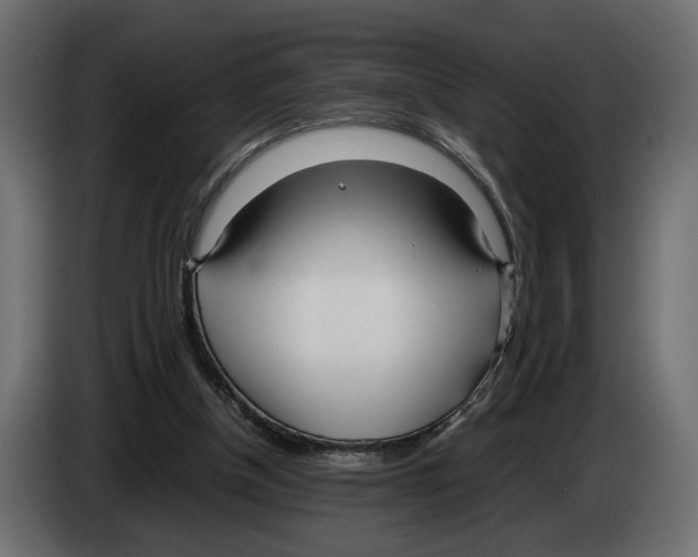 X0000083000154200703020911