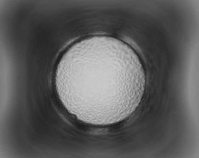 X0000083000155200703020911