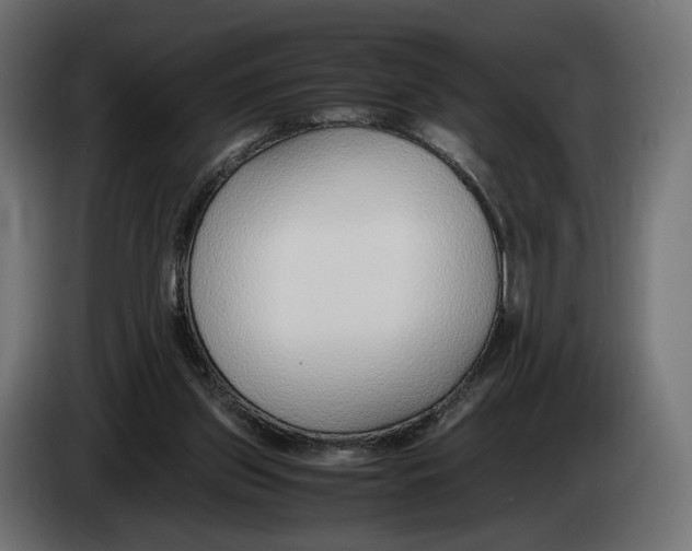 X0000083000157200703020911