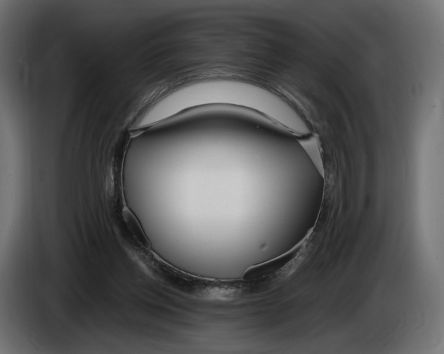 X0000083000158200703020911