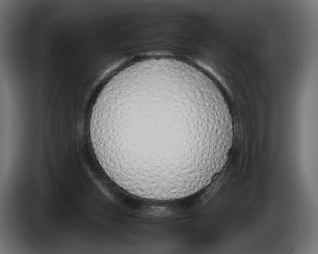 X0000083000159200703020911