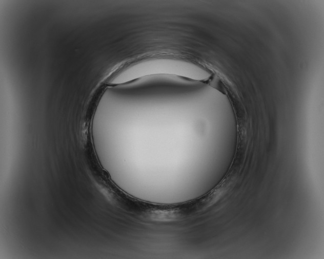 X0000083000160200703020911