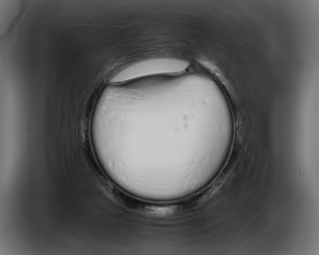 X0000083000161200703020911