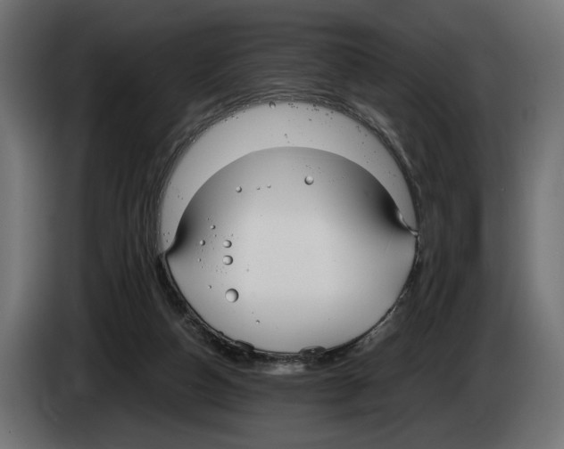 X0000083000162200703020911