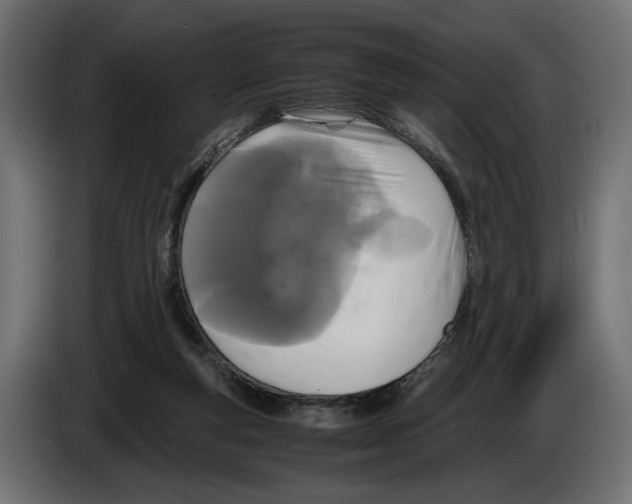 X0000083000163200703020911