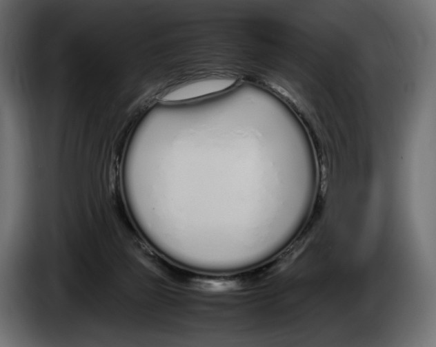 X0000083000165200703020911