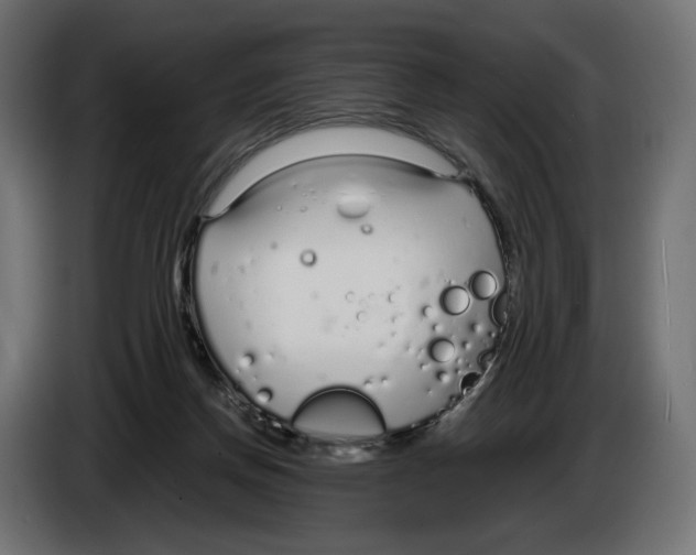 X0000083000166200703020911