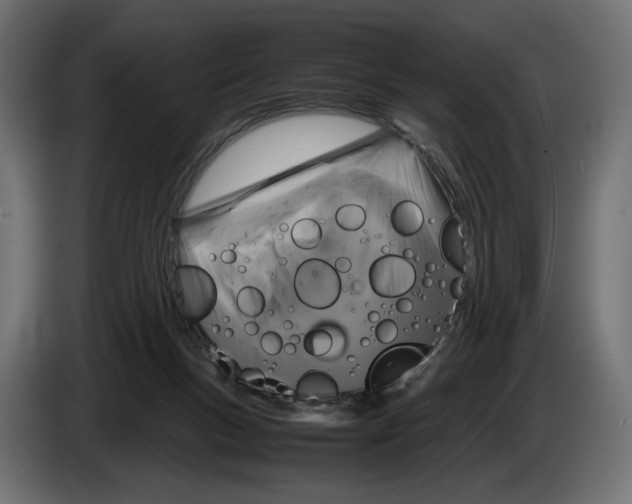 X0000083000167200703020911