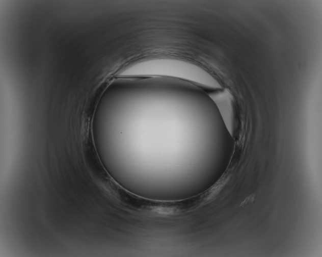 X0000083000168200703020911