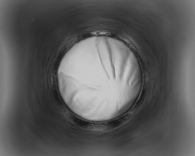 X0000083000169200703020911