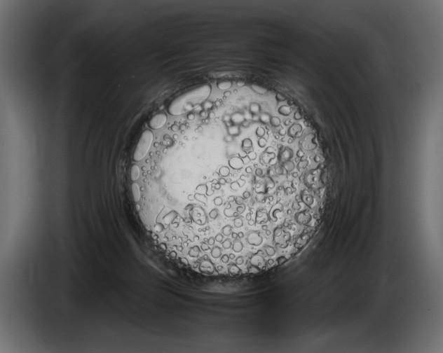 X0000083000171200703020911