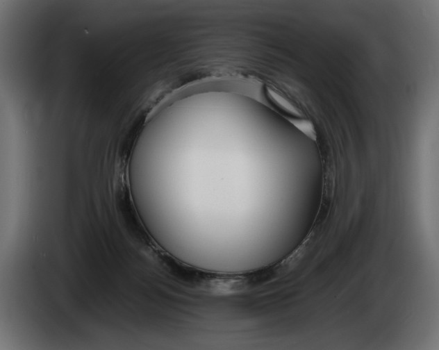 X0000083000172200703020911