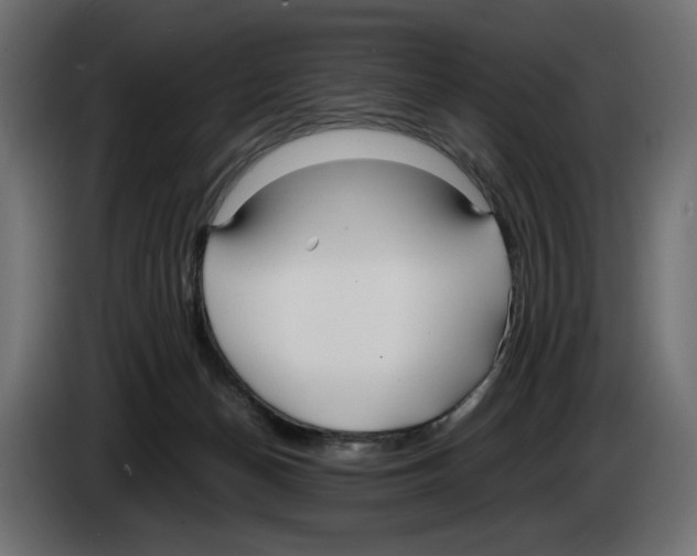 X0000083000174200703020911