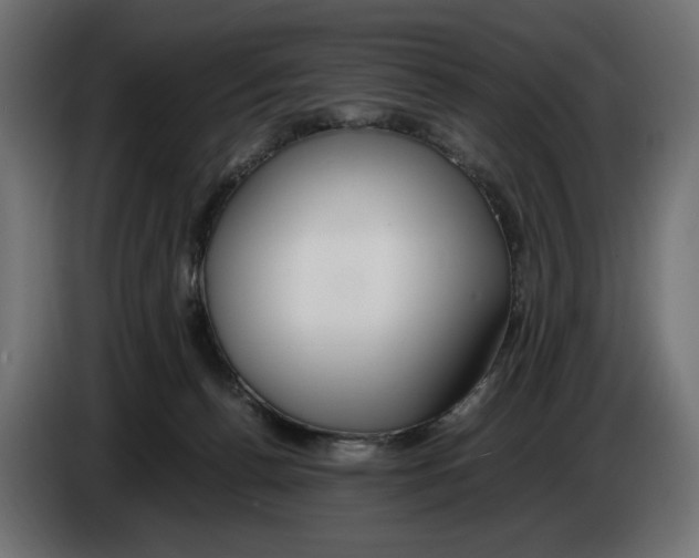 X0000083000176200703020911