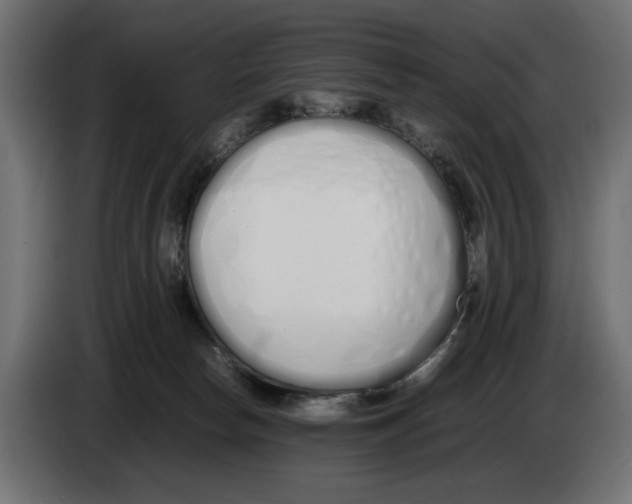 X0000083000178200703020911