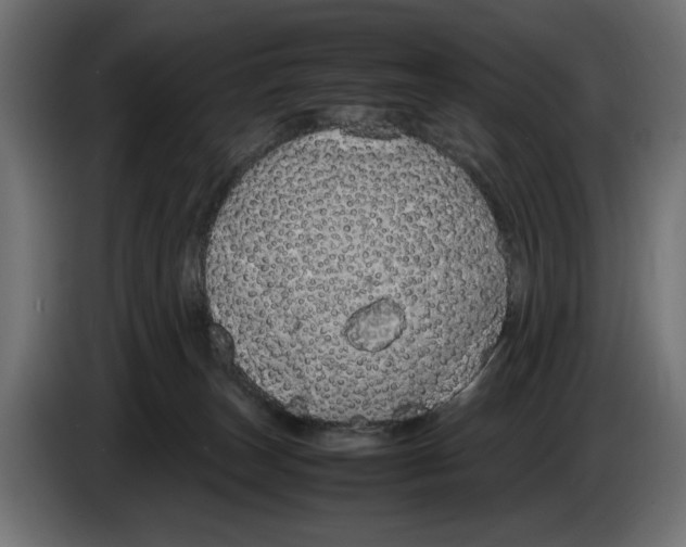 X0000083000179200703020911