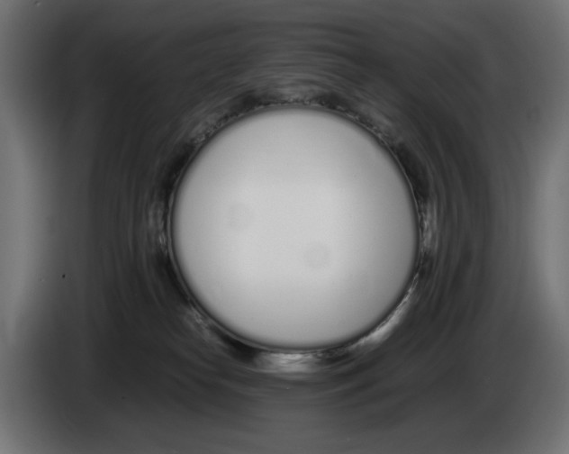 X0000083000182200703020911