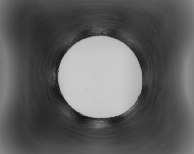 X0000083000183200703020911