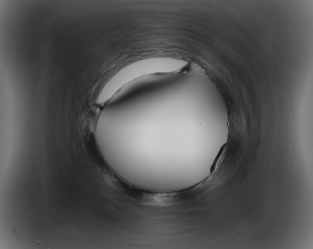 X0000083000184200703020911