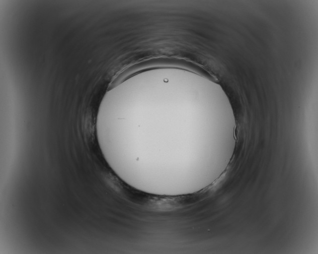 X0000083000186200703020912