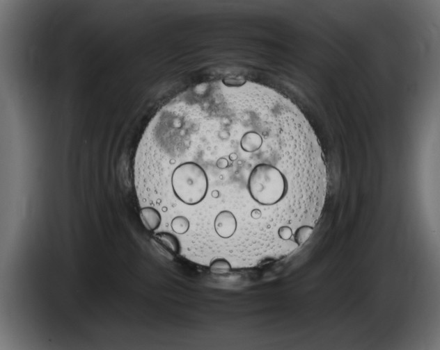 X0000083000187200703020912