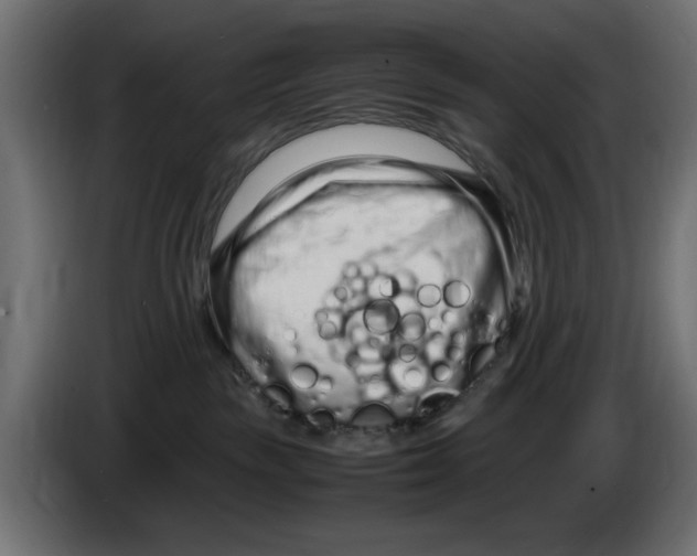 X0000083000189200703020912