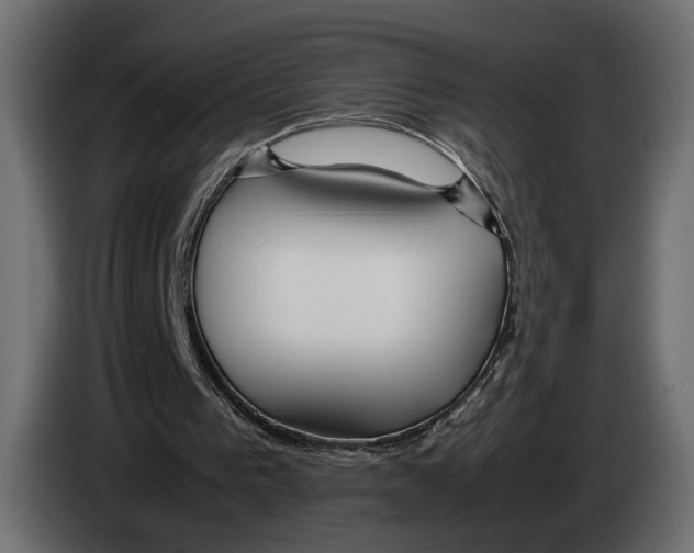 X0000083000193200703020911