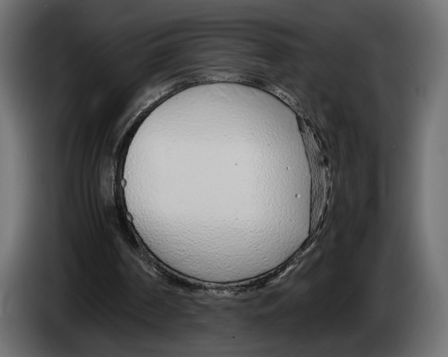 X0000083000194200703020911