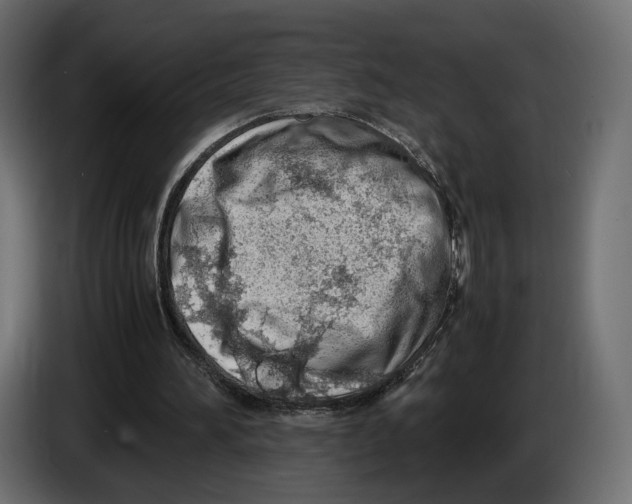 X0000083000196200703020911