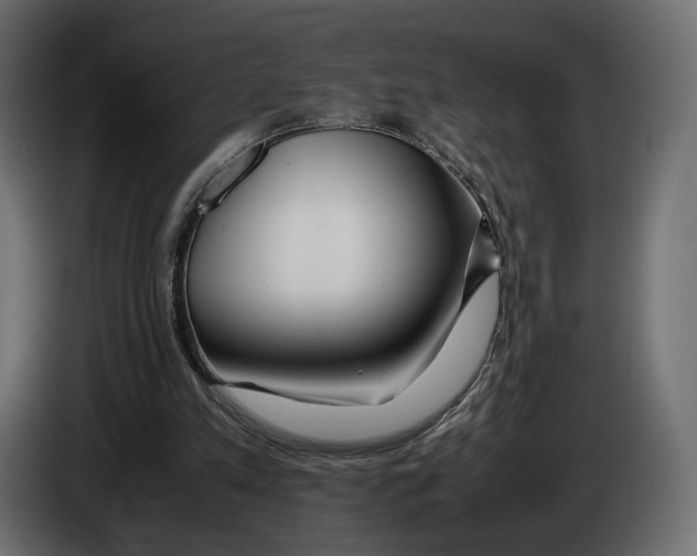 X0000083000197200703020911