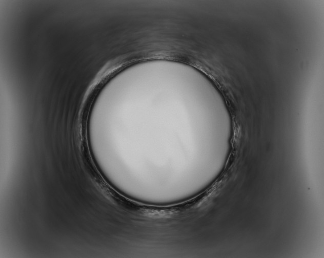 X0000083000198200703020911