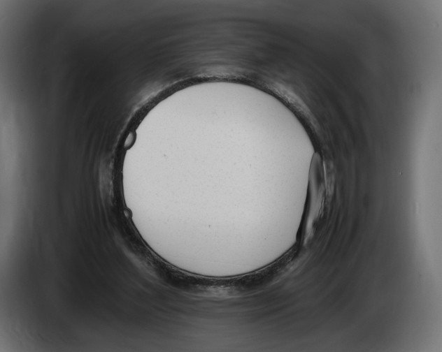 X0000083000204200703020911