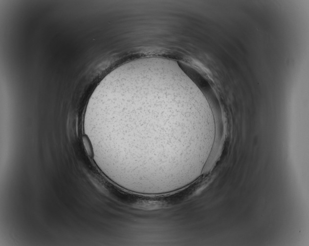 X0000083000205200703020911