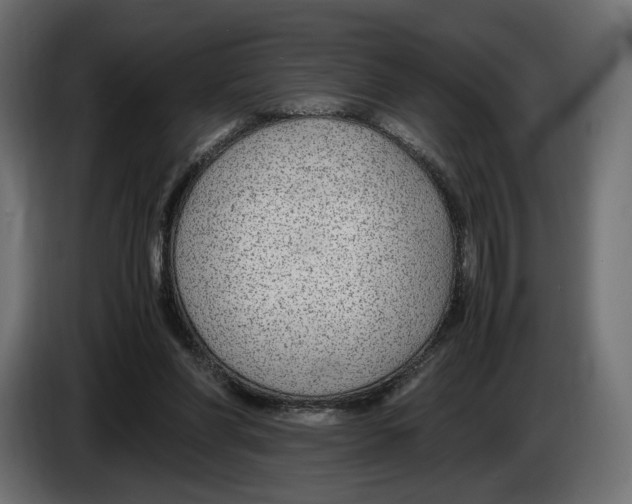 X0000083000206200703020911