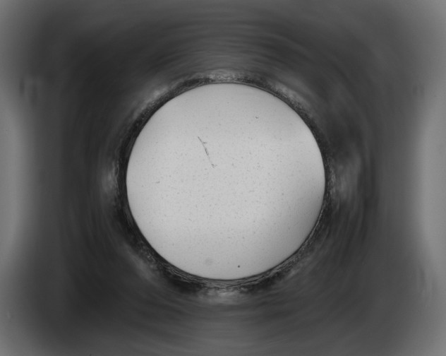 X0000083000208200703020911