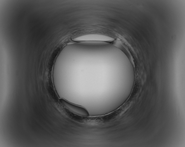 X0000083000209200703020911