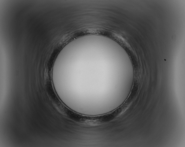 X0000083000213200703020911