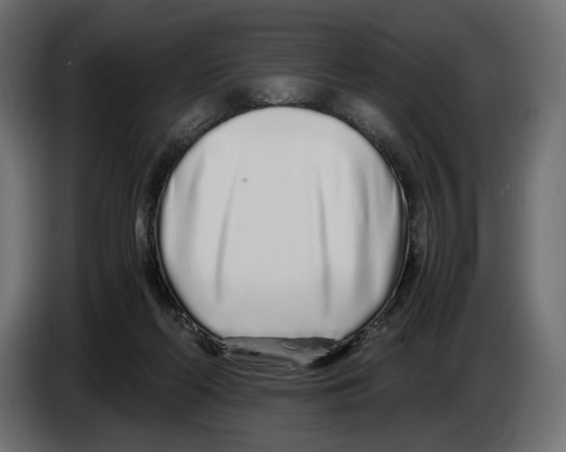 X0000083000214200703020911