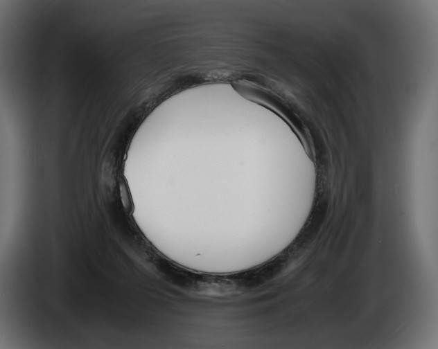 X0000083000215200703020911