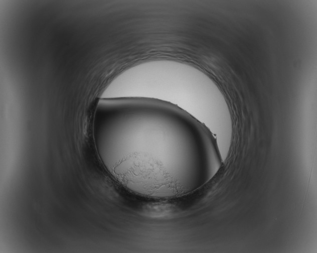 X0000083000219200703020911