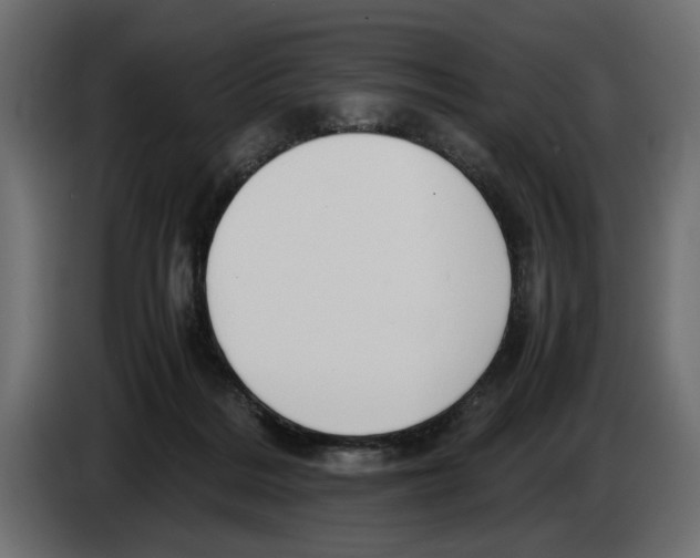 X0000083000220200703020911