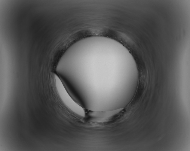 X0000083000221200703020911