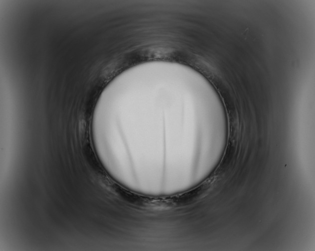 X0000083000222200703020911