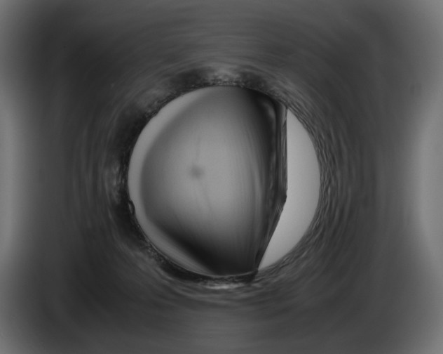 X0000083000223200703020911