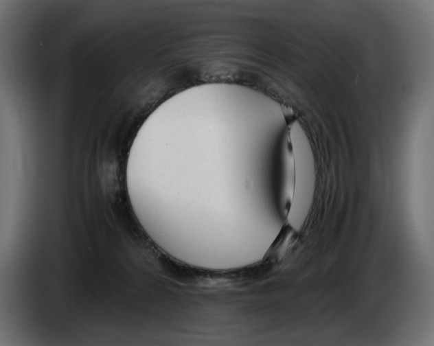 X0000083000224200703020911