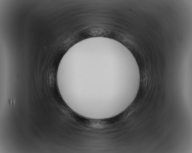 X0000083000226200703020911