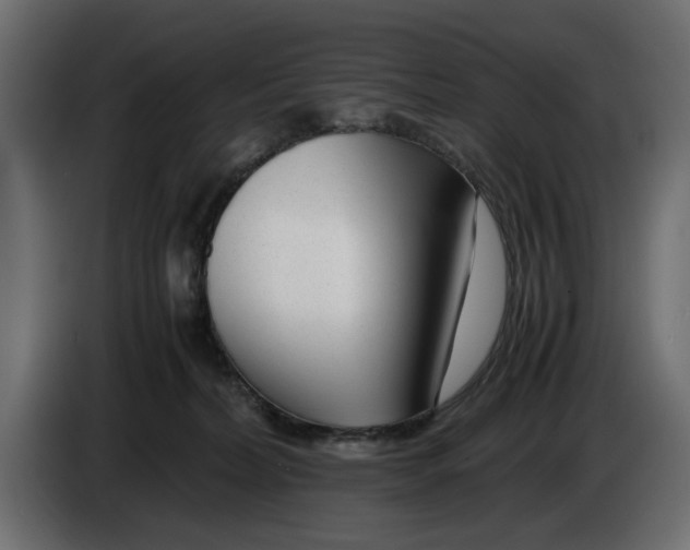 X0000083000228200703020911